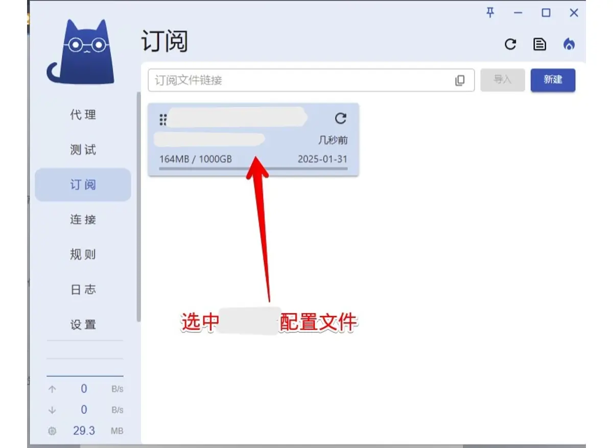 订阅页多出一张名称打码的卡片，显示 164MB / 1000GB 和 2025-01-31，红色箭头指着它