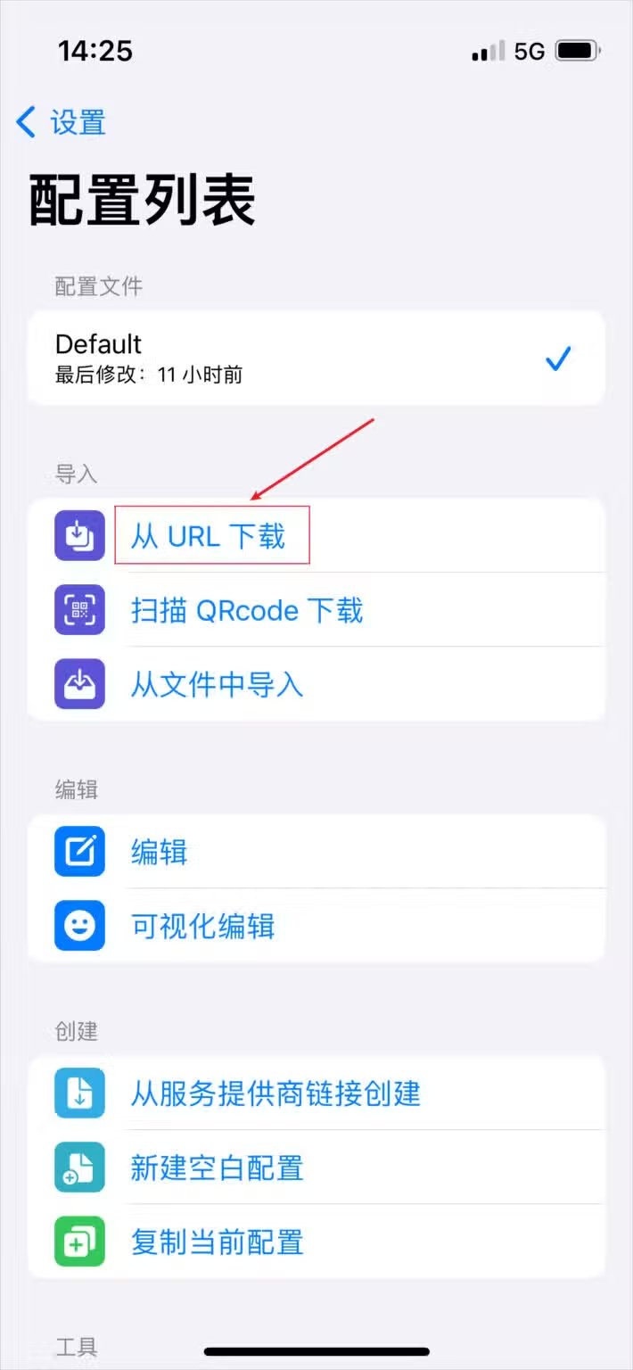 Stash 配置列表，导入组里的从 URL 下载被红框圈出，下面还有扫描 QRcode 下载和从文件中导入